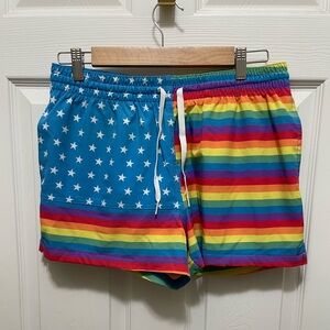 Men’s Chubbies Love Is Love Pride Flag Mesh Lined Swim Shorts Medium 2.5”